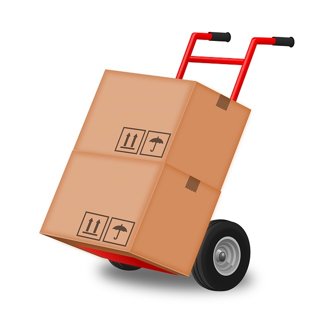 Hand Truck Moving Boxes