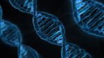 The Many Uses of DNA Profiling: Forensics and Beyond