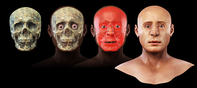 Steps Of Facial Reconstruction